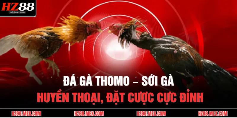 Đá Gà Thomo – Sới Gà Huyền Thoại, Đặt Cược Cực Đỉnh