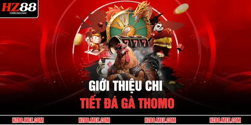 Giới thiệu chi tiết đá gà Thomo