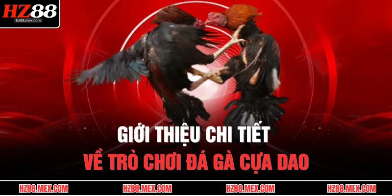 Giới thiệu chi tiết về trò chơi đá gà cựa dao