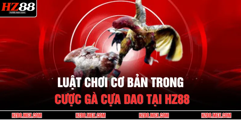 Luật chơi cơ bản trong cược gà cựa dao tại HZ88