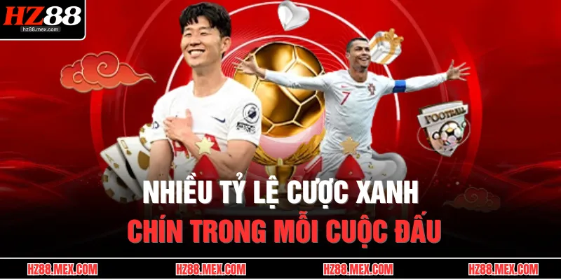Nhiều tỷ lệ cược xanh chín trong mỗi cuộc đấu
